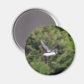 回転磁石 マグネット (正面/裏面)