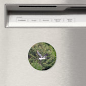 回転磁石 マグネット (インサイチュ (食洗機))