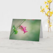 回避のペンステモン、アリゾナの野生の花 カード (黄色い花)