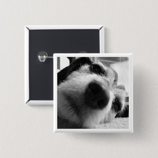 回顧カバー 缶バッジ (正面&裏面)