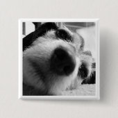 回顧カバー 缶バッジ (正面)