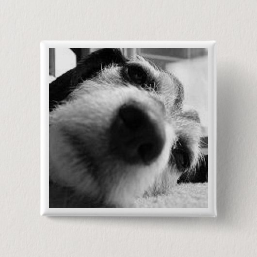 回顧カバー 缶バッジ (正面)