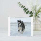 困ったことがある ポストカード (スタンド正面)