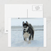 困ったことがある ポストカード (正面/裏面)