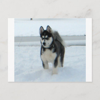 困ったことがある ポストカード