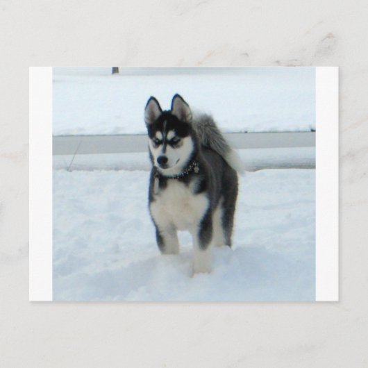 困ったことがある ポストカード (正面)