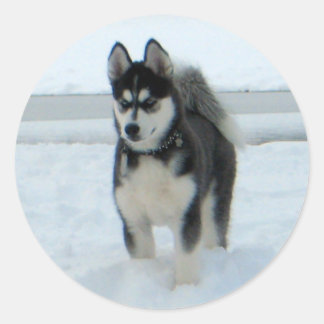 困ったことがある ラウンドシール