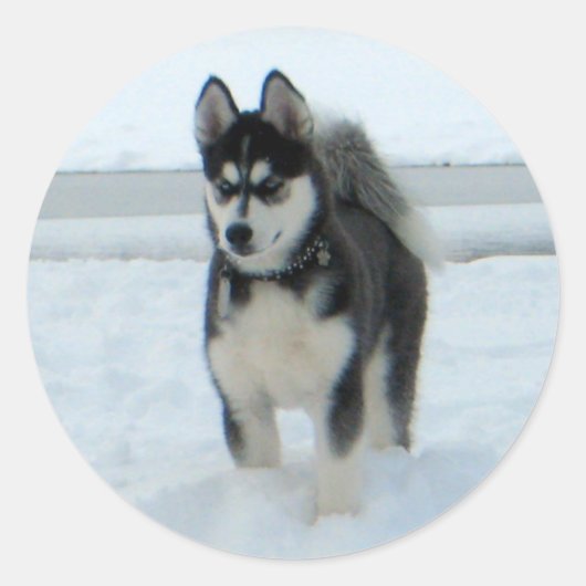 困ったことがある ラウンドシール (正面)