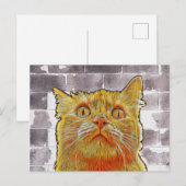 困っている赤猫。 ポストカード (正面/裏面)