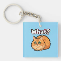 困惑したふわふわオレンジの猫 "え?" メメキーチェーン