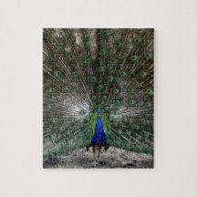 困難なパズルのギフトの孔雀の羽のパズル