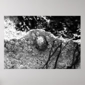 囲まれた ポスター (正面)