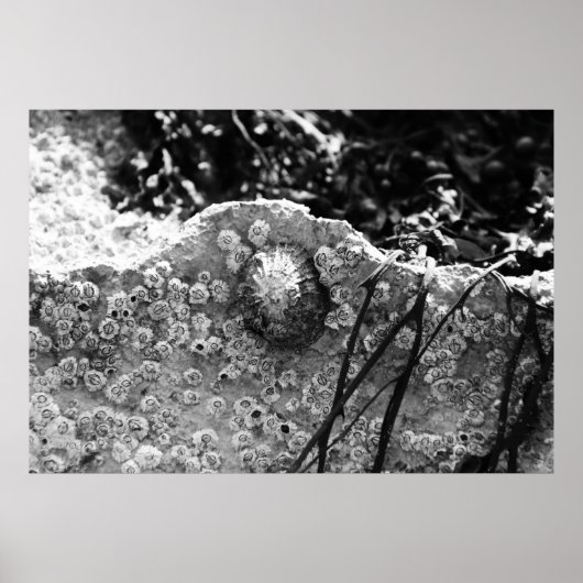 囲まれた ポスター (正面)