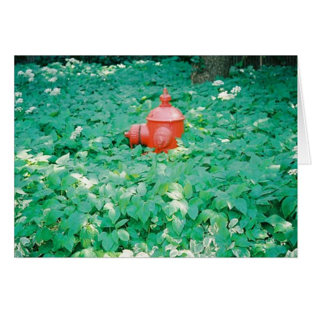 囲まれる (正面横)