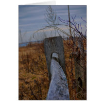 囲われたカード