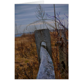 囲われたカード