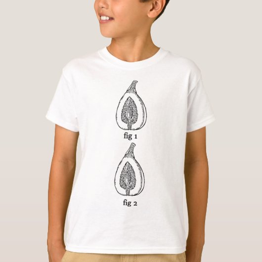 図おもしろい果実図1図2 Tシャツ (正面)