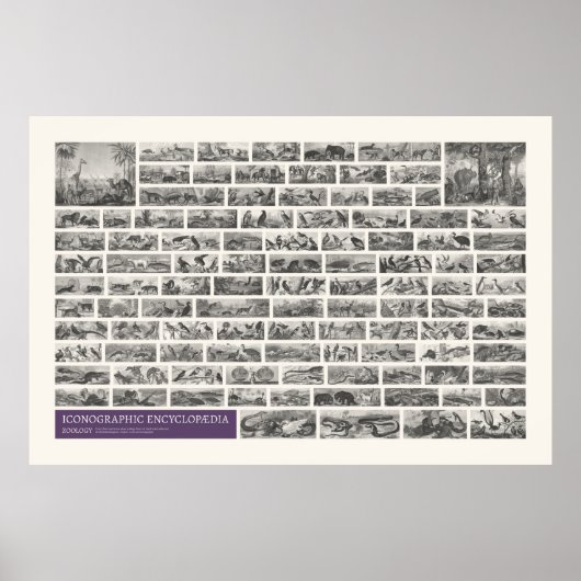 図像学 – 動物学シーン ポスター (正面)