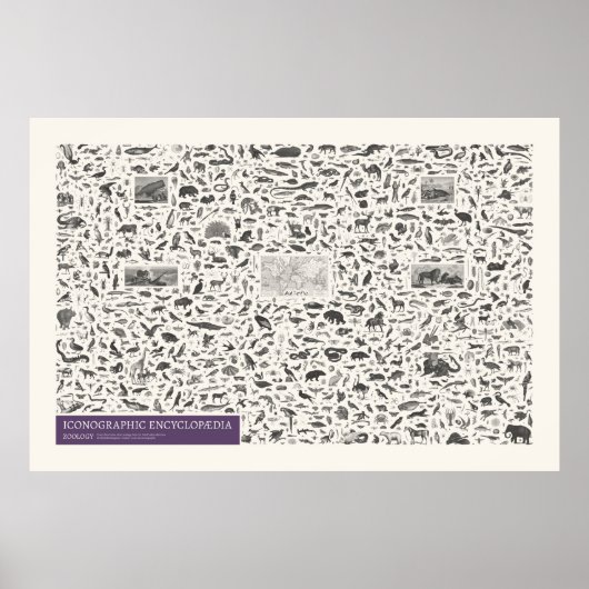 図像学 – 動物学姿 ポスター (正面)