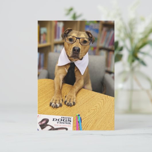 図書用頭が切れる眼鏡本おもしろい犬フォトカード サンキューカード (スタンド正面)