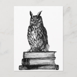図書館のフクロウ ポストカード