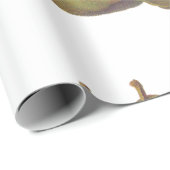 図解入りの、写真付きのな5個のヴィンテージのナシ ラッピングペーパー (ロールコーナー)