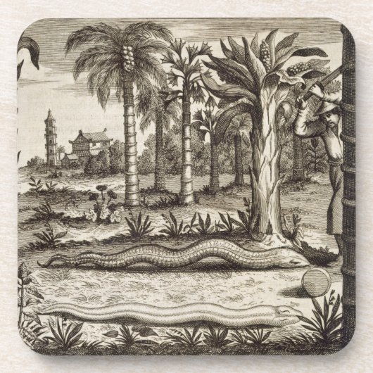 「図解入りの、写真付きのなAthan著」中国からの石造りのヘビ、 コースター (正面)