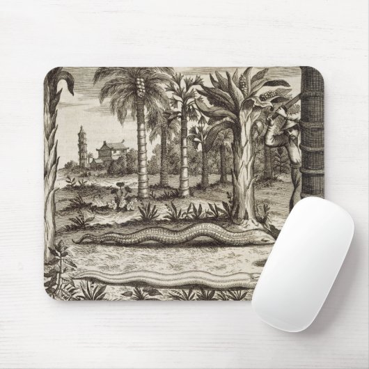 「図解入りの、写真付きのなAthan著」中国からの石造りのヘビ、 マウスパッド (マウス)