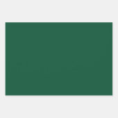 図解入りの、写真付きのクリスマスホリーレッド&グリーンラッピング ラッピングペーパーシート (正面3)