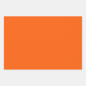 図解入りの、写真付きのクリスマスホリーレッド&グリーンラッピング ラッピングペーパーシート (正面2)