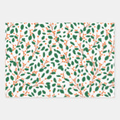 図解入りの、写真付きのクリスマスミュート色のラッピング紙 ラッピングペーパーシート (正面2)