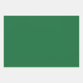 図解入りの、写真付きのクリスマスライト赤と緑 ラッピングペーパーシート (正面3)