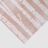 図解入りの、写真付きの樺の木 薄葉紙 (詳細)