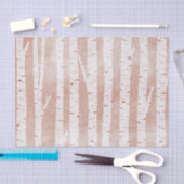 図解入りの、写真付きの樺の木 薄葉紙 (クラフト)