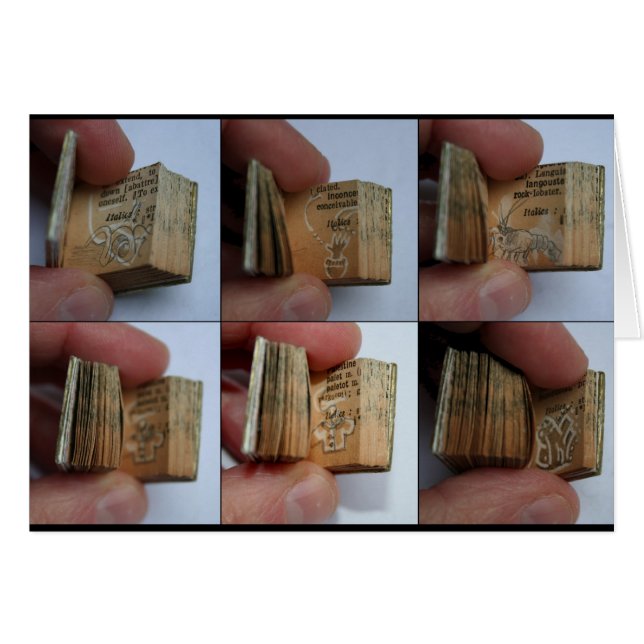 図面カードが付いているDicofrAngleの極小本 (正面横)