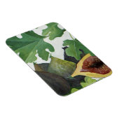 図2013 マグネット (右側)