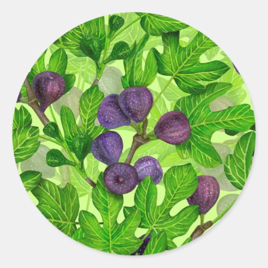 図2 ラウンドシール (正面)