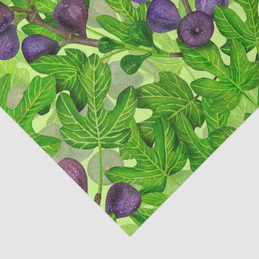 図2 薄葉紙 (詳細)