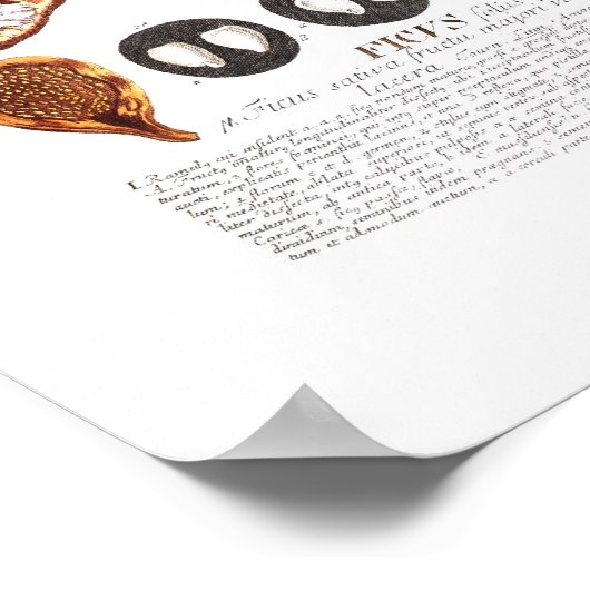 図 ポスター (角)