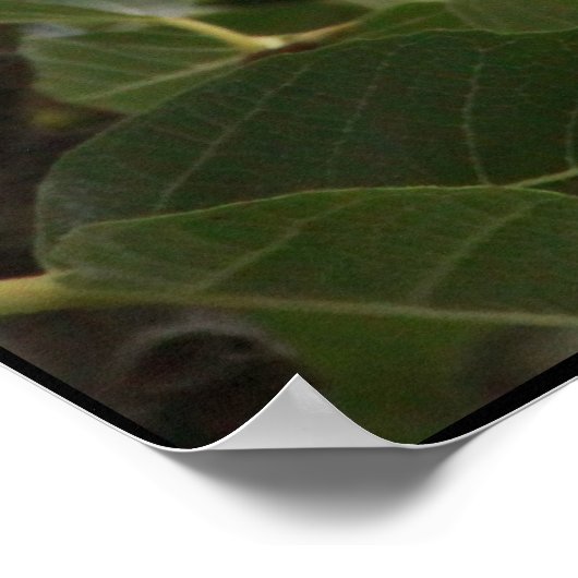 図 ポスター (角)