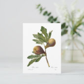 図 ポストカード (スタンド正面)