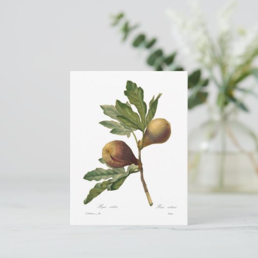 図 ポストカード (スタンド正面)