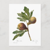 図 ポストカード (正面)