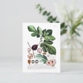 図 ポストカード (スタンド正面)