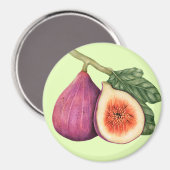 図 マグネット (正面/裏面)