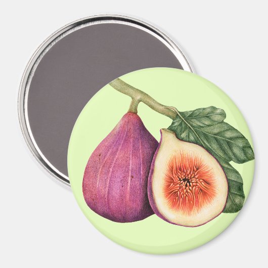 図 マグネット (正面/裏面)