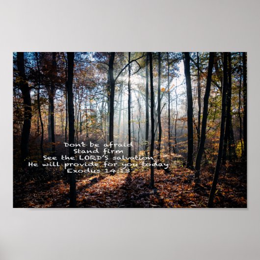 固く立つ –  ポスター (正面)