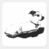 固定および観測性 スクエアシール (正面)