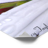 固定式デイジー5 ポスター (角)