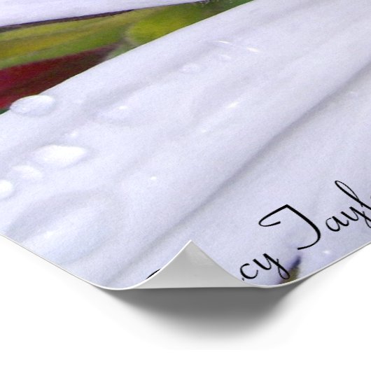 固定式デイジー5 ポスター (角)